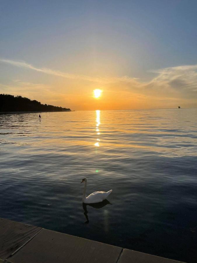Sun & Love Apartment Koper Eksteriør billede
